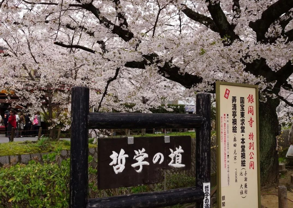 日本哲学之道 日本哲学之道