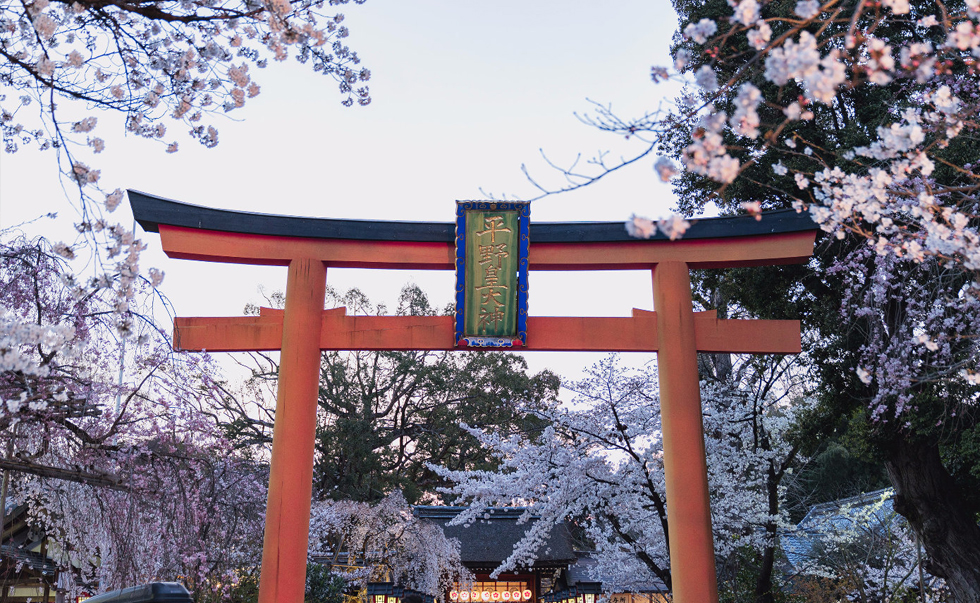 平野神社 平野神社