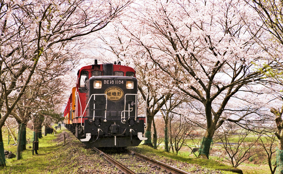 嵯峨野小火车 嵯峨野小火车