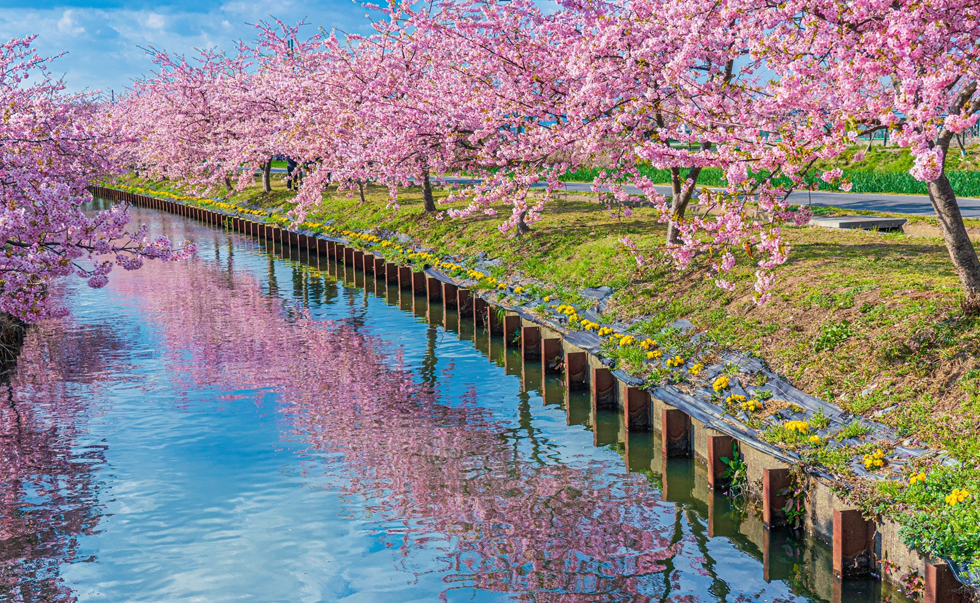 河津町 河津町