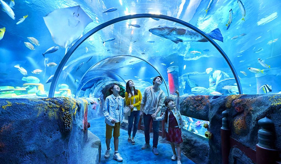冲绳美丽海水族馆 冲绳美丽海水族馆