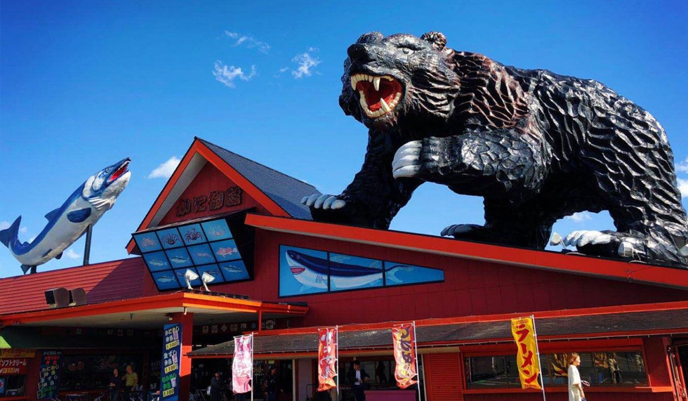 旭山动物园3 旭山动物园3