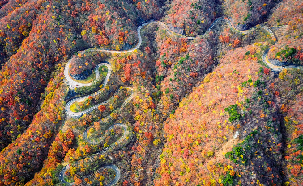 伊吕波山道 伊吕波山道